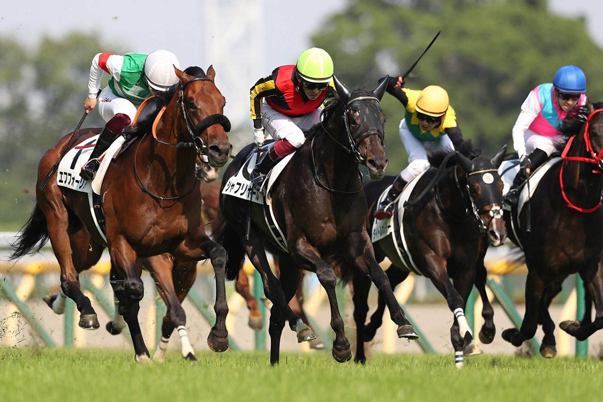 日本ダービー 歴代優勝馬 | 競馬専門紙「優馬」