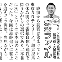 まさファイル サンプル画像