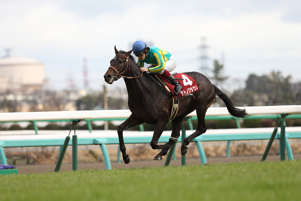 本気の応援セール コスモバルク ホッカイドウ競馬/シンガポール航空IC ...