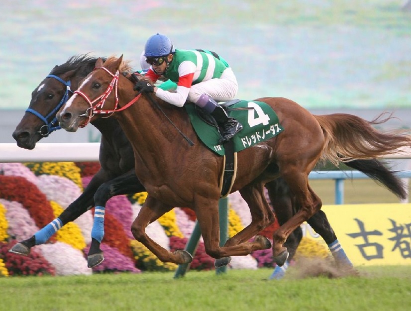 少頭数スプリングｓは ドレッドノータスから相手３頭で 競馬専門紙 優馬