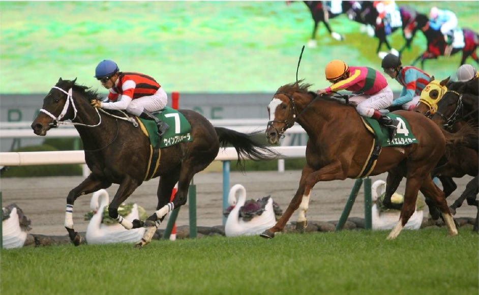 チェッキーノ取消が波乱を助長 優馬tm陣がクイーンｓを激論 2ページ目 競馬専門紙 優馬