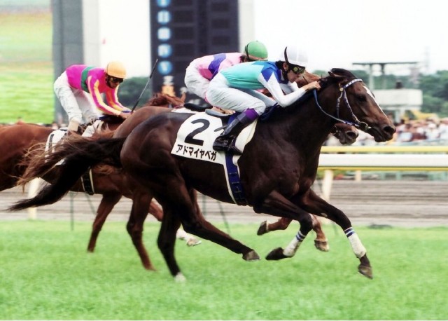 99年菊花賞 単勝馬券 ナリタトップロード オペラオー．アドマイヤベガ 