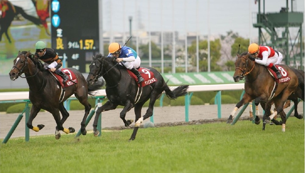 ＴＭアンケート『新設 or 復活してほしいレースは？』 | 競馬専門紙「優馬」