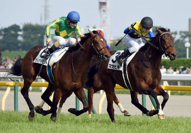 ダービーポジション から手繰り寄せた 運 マカヒキが世代の頂点に 競馬専門紙 優馬