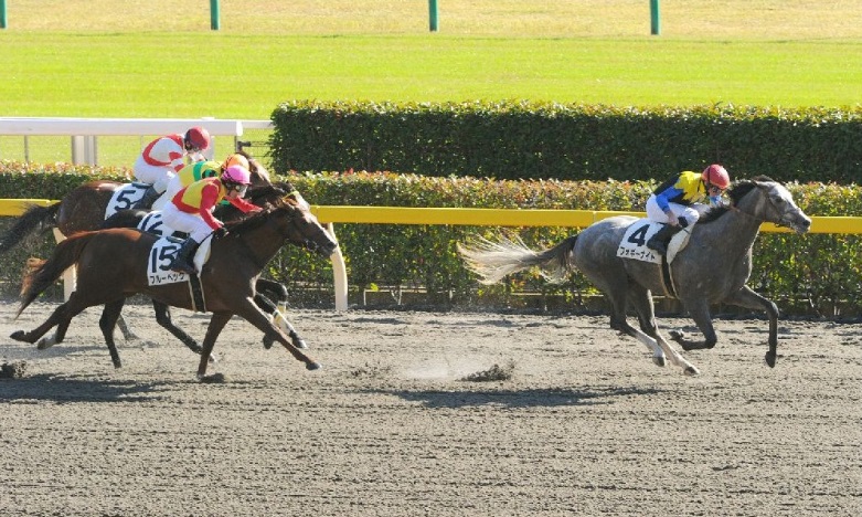 夢はケンタッキーダービー 取引価格２億円超馬フォギーナイト 競馬専門紙 優馬