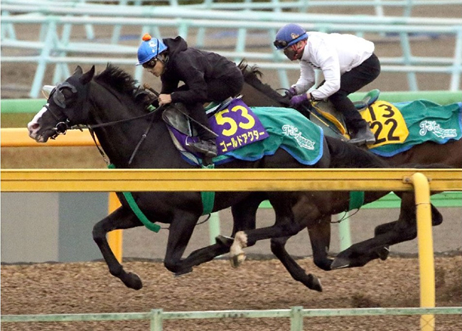 武豊キタサンは調教ランク３位 トップは大迫力の動きを見せたアノ馬 3ページ目 競馬専門紙 優馬