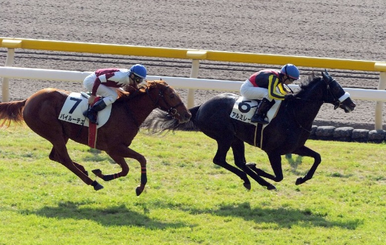 11月12 13日の新馬 未勝利勝ち 評価一覧 競馬専門紙 優馬