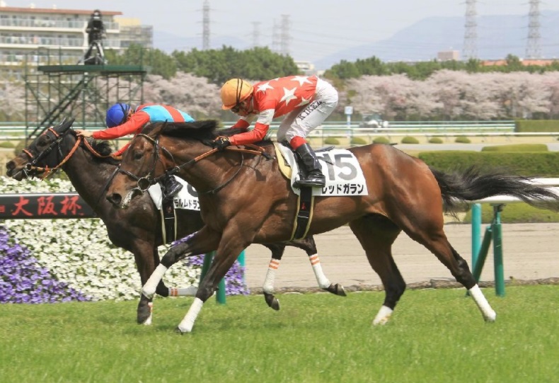 3月31日 4月1日の新馬 未勝利勝ち 評価一覧 競馬専門紙 優馬