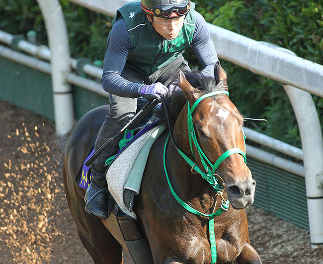 サートゥルナーリアに疑問の声 前走は 全く評価できない 競馬専門紙 優馬