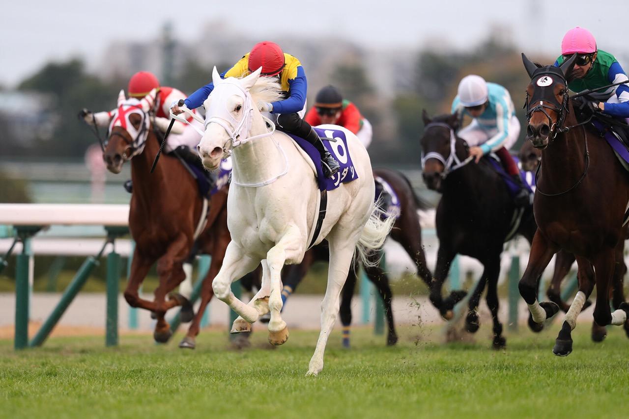 今年の桜花賞＆オークス勝ち馬を予想 ソダシ最大のライバルはやはり… 隠れた逸材もまだいるぞ！ | 競馬専門紙「優馬」