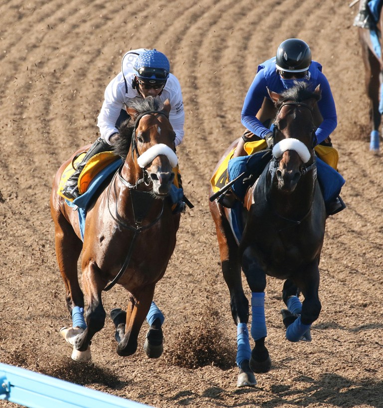 エプソムｃ 安田記念で67万 をヒットした前田智基ｔｍの追い切りジャッジやいかに 競馬専門紙 優馬