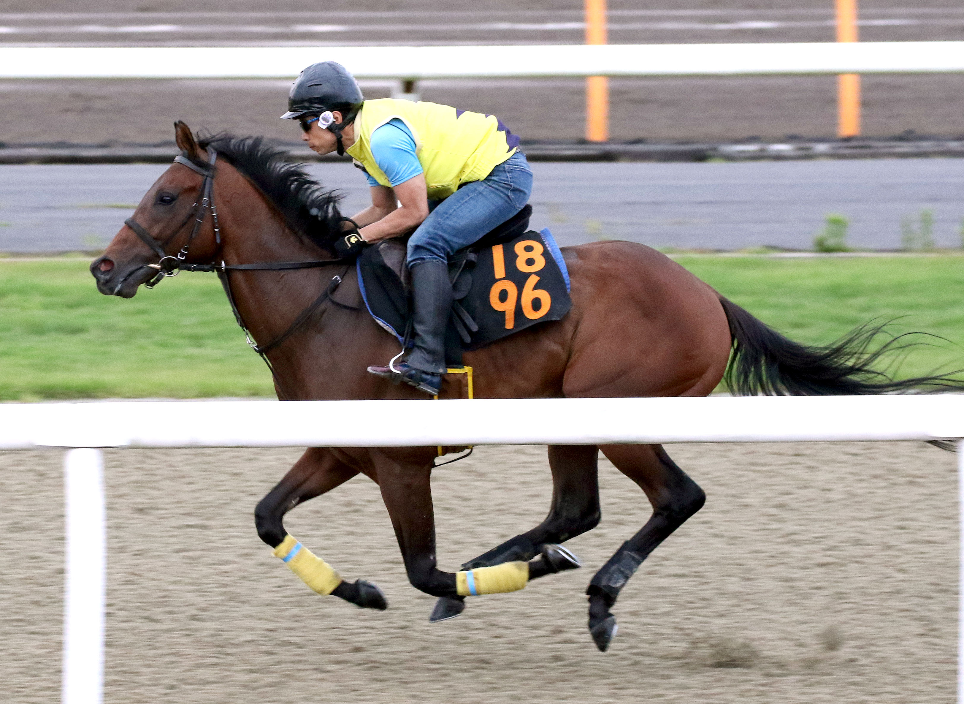 ラジオ日本賞勝ち馬アシャカトブ 実使用ゼッケン-