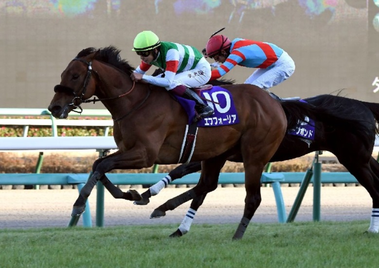 一昨年の年度代表馬 エフフォーリアが電撃引退｜テレ東スポーツ