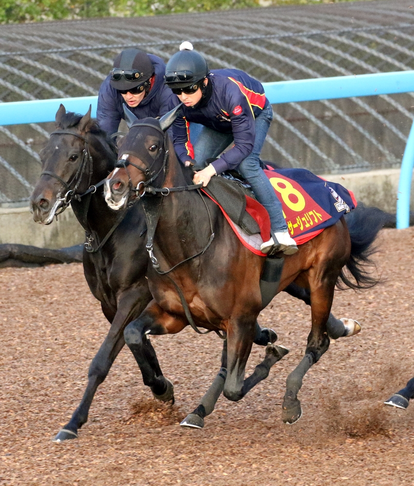 最大62％オフ！ ナミュール チューリップ賞 的中単勝馬券 2022 fawe.org