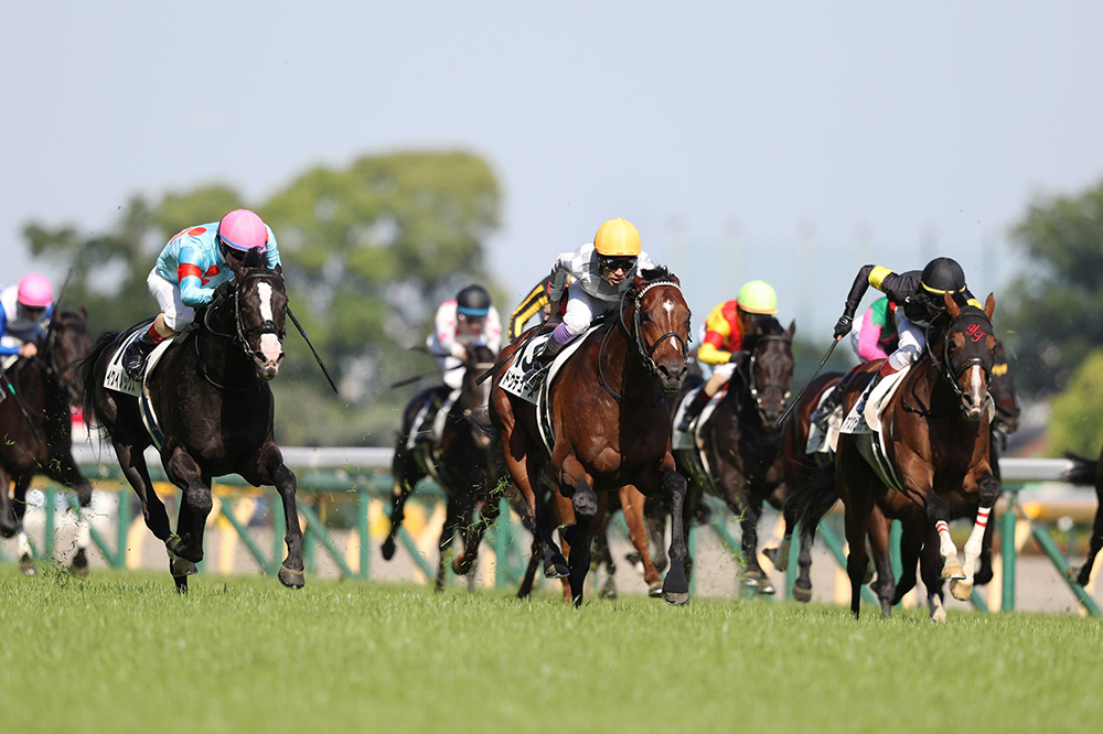 日本ダービー 2023 レース結果・動画・払戻金 | 競馬専門紙「優馬」