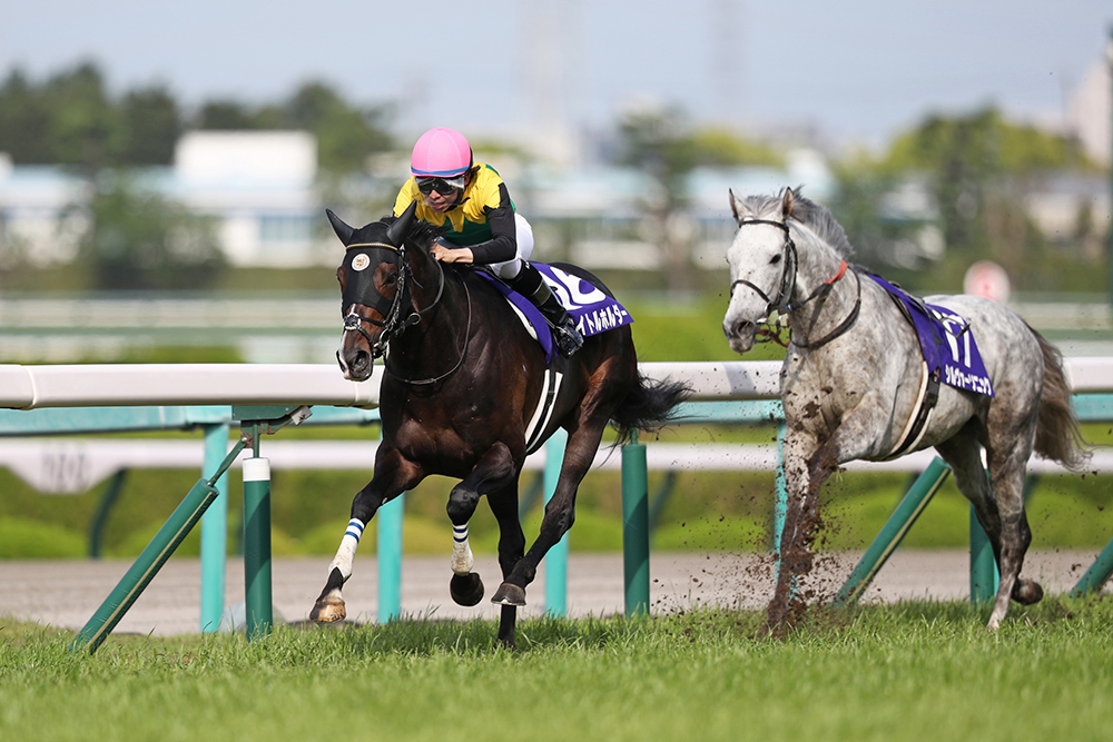 全てのアイテム 日本馬悲願の タイトルホルダー 天皇賞勝利記念ベスト