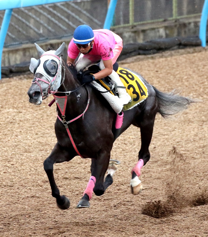 【七夕賞】「 もアリ」な七夕賞の穴馬 “あっと驚く結果”もたらす