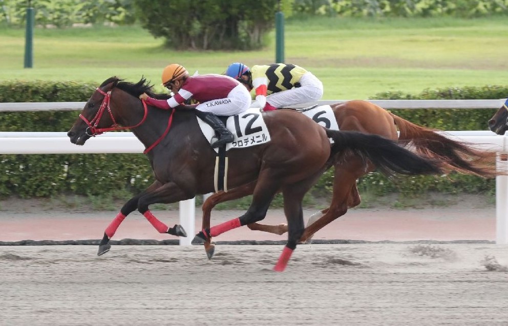 『マル外』といえば森厩舎 今週是非とも買っておきたい馬とは【栗東トレセンレポート】 