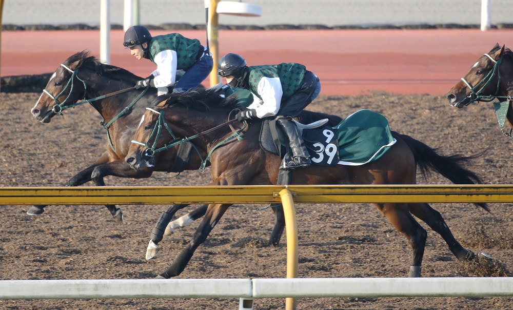 ウオッカ ダービー現地単勝馬券の+radiokameleon.ba