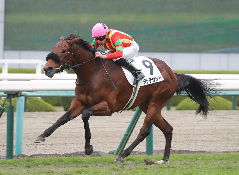 ド派手に６馬身差Ｖ」逃げて上がり最速で突き抜けたタッチウッドに☆６