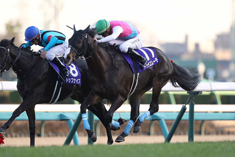 卸直営 競馬 コントレイル ボールペン ポストカード4枚セット