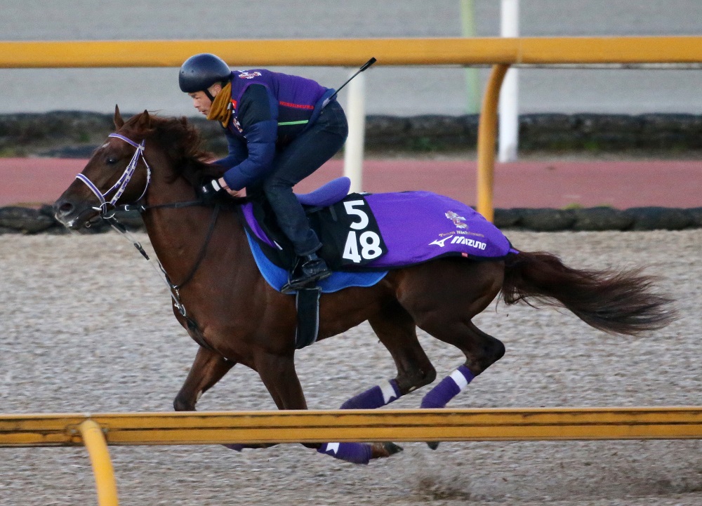 馬券立て 競馬 馬券 記念立て 馬券入れ - その他