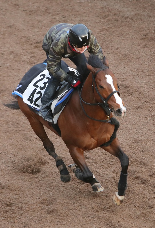 阪急杯】「◎」打ってもいい激穴馬 グレナディアガーズにも勝る“買い