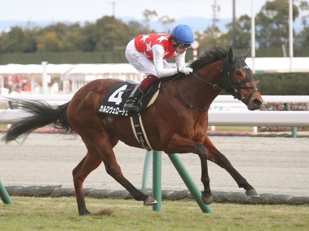 2023年激安 単勝馬券 98NHKマイルカップ 1998年 BBB】競馬 エル 