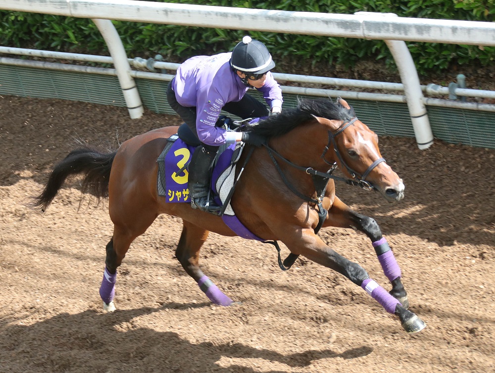 日本ダービー】東京2400ｍで「ゲキ変する」穴馬 良馬場での決め手