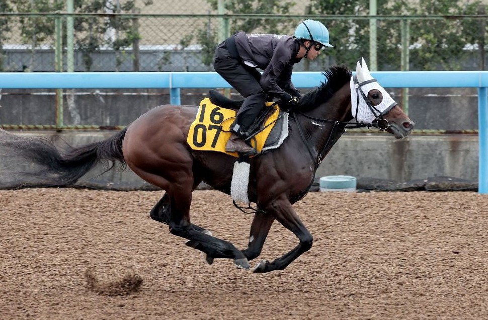 京都大賞典】グリグリの「◎」打てる怪物馬 “必然の快進撃”はまだ続く