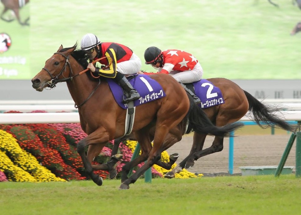 エリザベス女王杯回顧】完勝劇の裏で再確認 「ＧIを勝てる馬」は“もう