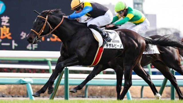 競馬専門紙「優馬」