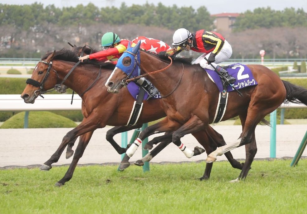 宝塚記念】馬券から外せない「マーク必須の４頭」と押えておきたい「穴馬２頭」 | 競馬専門紙「優馬」