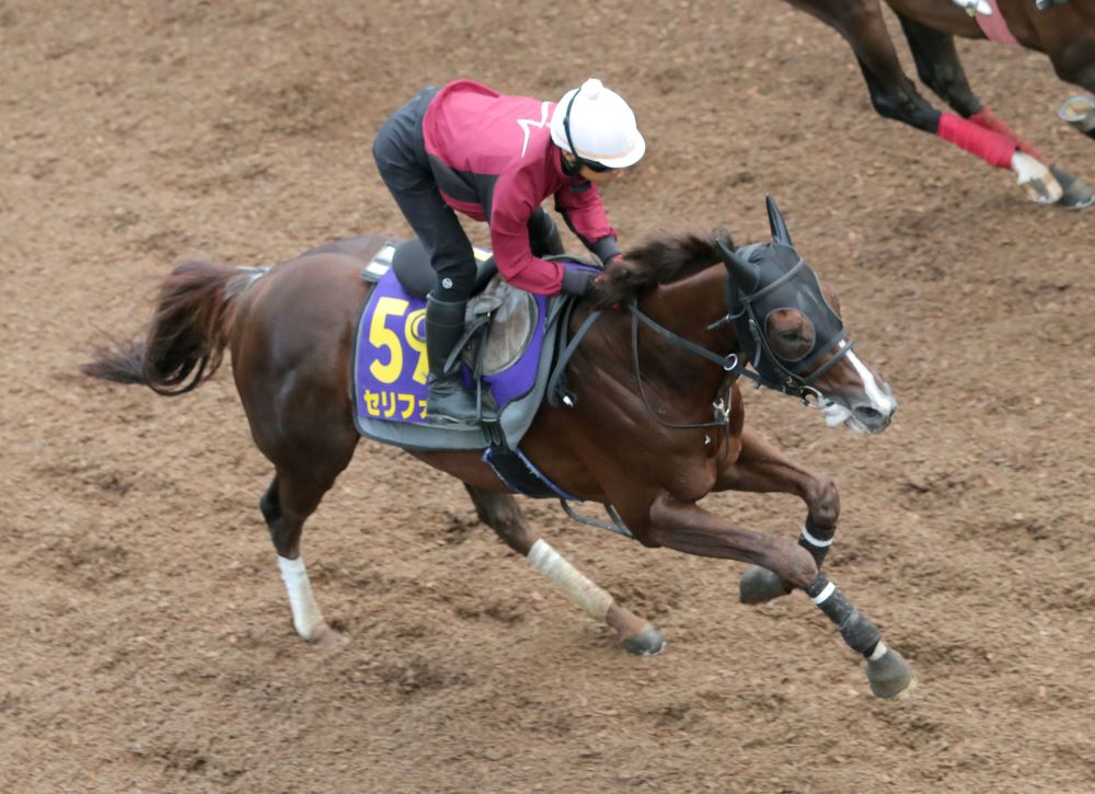 安田記念】馬券圏内率100％！ 軸馬にオススメしたい“厳選１頭” | 競馬専門紙「優馬」