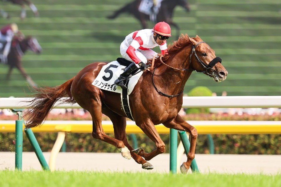 日本ダービー 2025 出走18頭（予想オッズ・騎手） | 競馬専門紙
