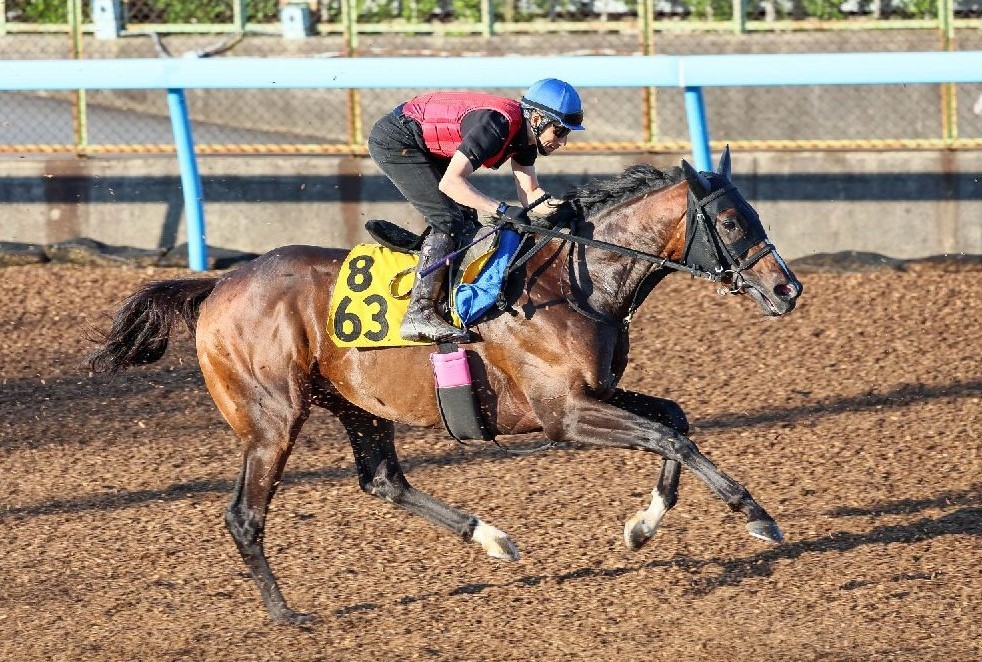 【エプソムＣ】“肉切骨断”の競馬で、レーベンスティールに「また」先着できる１頭