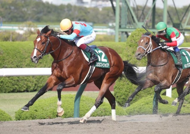 長休明けでも好走歴のあるプロミストウォリア