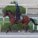 過去の穴馬と共通点の多いメイショウフウドウ