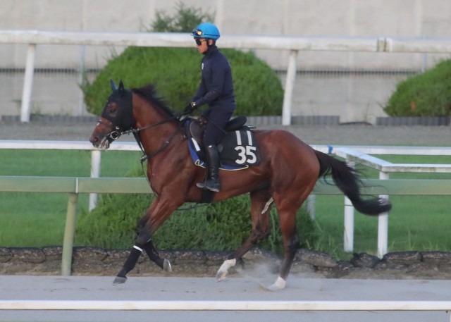 過去の穴馬と共通点の多いメイショウフウドウ