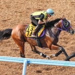 昨年と同じローテーションで準備万全のバラジ