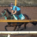 トータルクラリティ