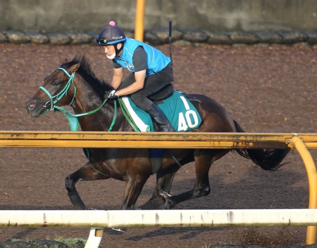 トータルクラリティ