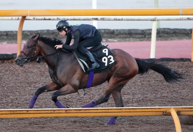 同舞台で完勝してきたフレミングフープに注目