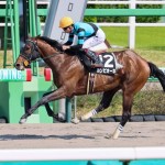 横山武Ｊ騎乗時は全て馬券圏内のカンピオーネ