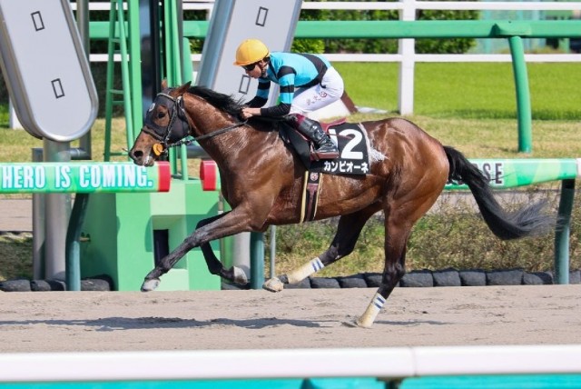 横山武Ｊ騎乗時は全て馬券圏内のカンピオーネ