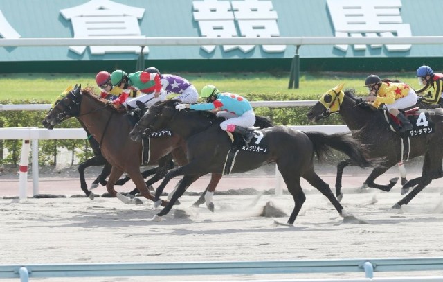 昨年と同じ臨戦で上位進出を狙うヴァンヤール