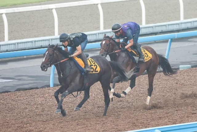 重賞勝ちのある舞台で連勝を狙うレーベンスティール