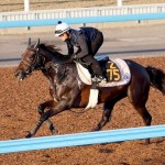 １勝クラスの勝ち方も素晴らしかったカニキュル