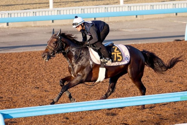 １勝クラスの勝ち方も素晴らしかったカニキュル