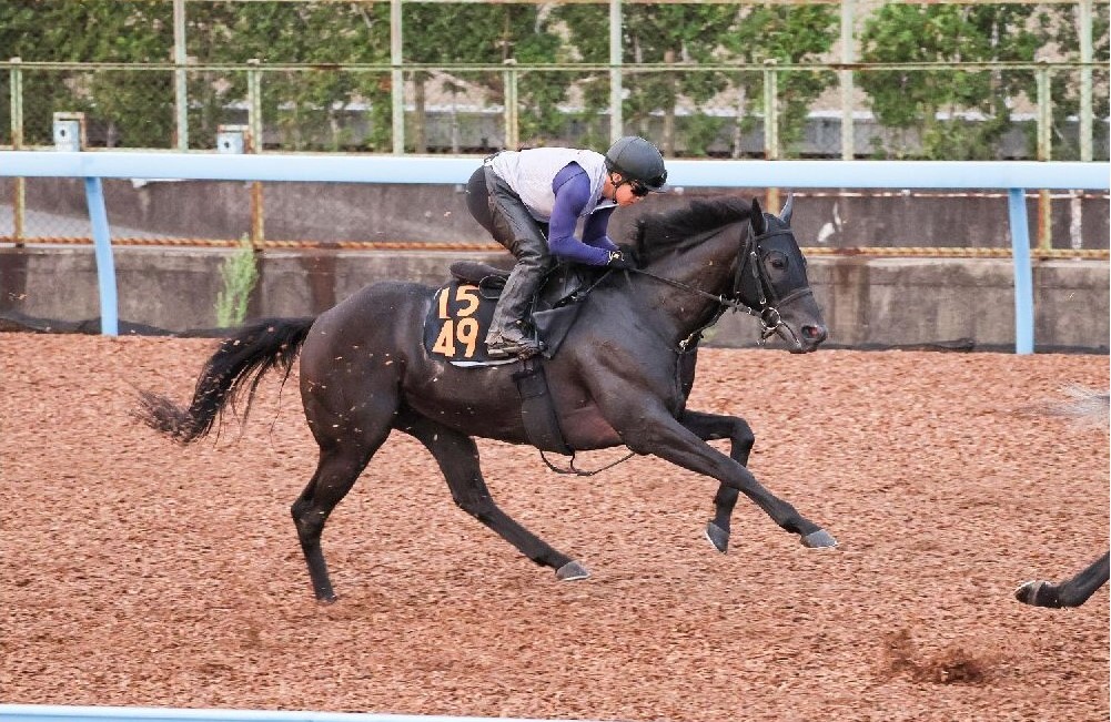 富士Ｓ】“ジャンタル回避”でも買うのは３歳 ここ２戦「不利＆不利」の馬とは？ | 競馬専門紙「優馬」